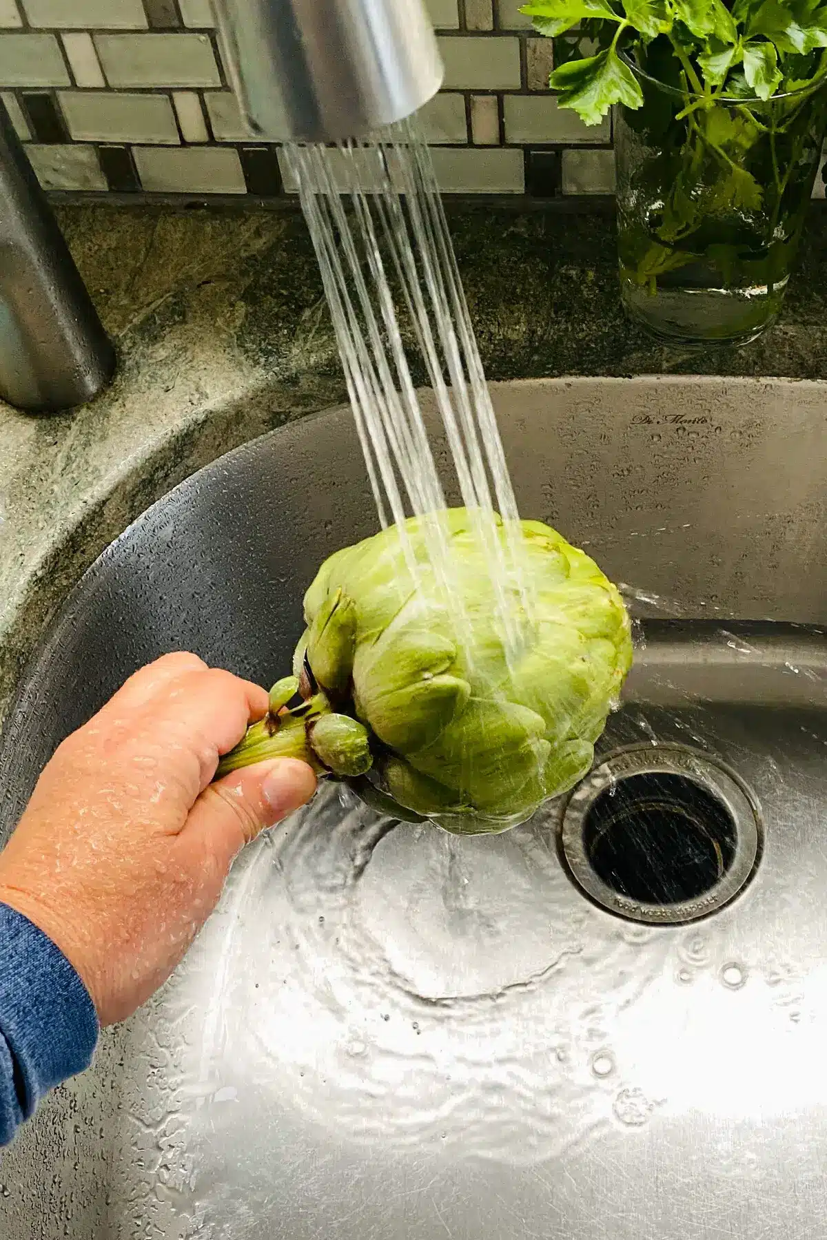 washing an artichoke.