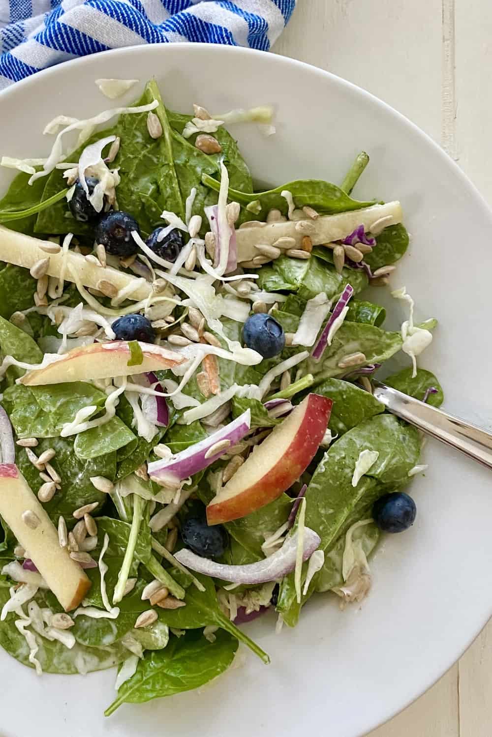 Spinach Blueberry Salad with Yogurt Dressing {Healthy and Fresh}
