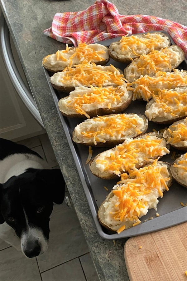 ready for the oven