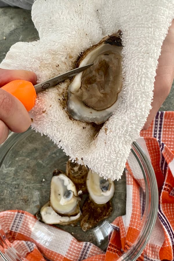 shucking oysters
