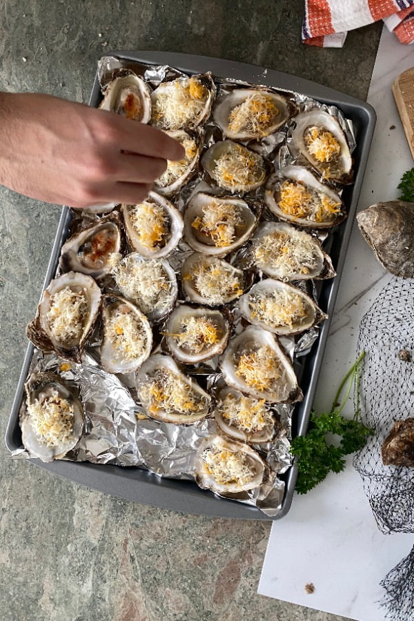 Sprinkling cheese on bivalves