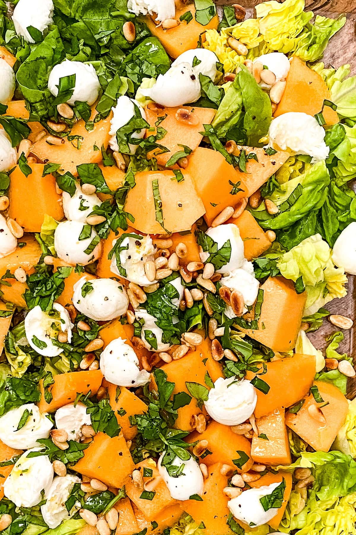 melon salad with fresh mozzarella
