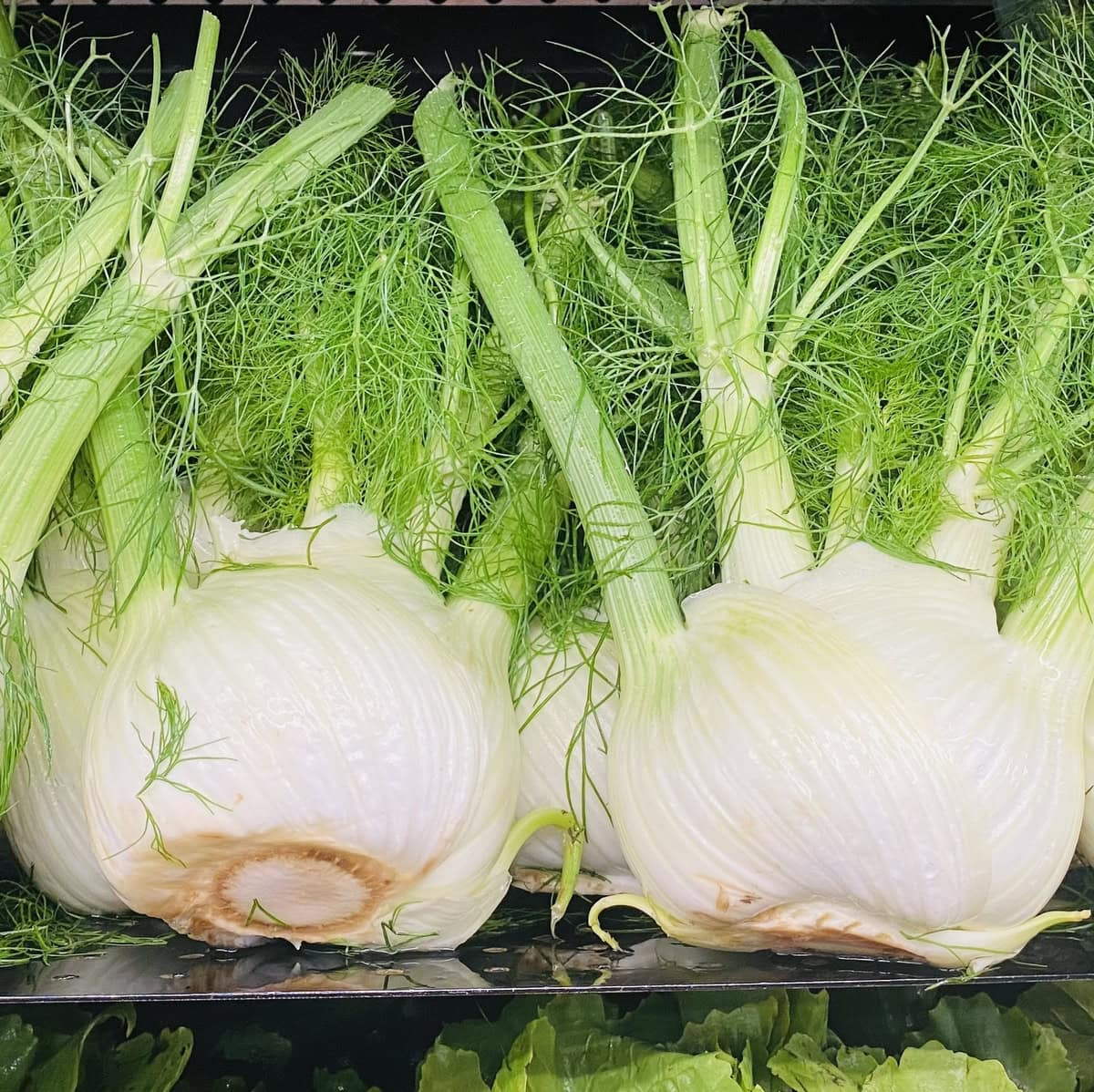 fennel bulbs