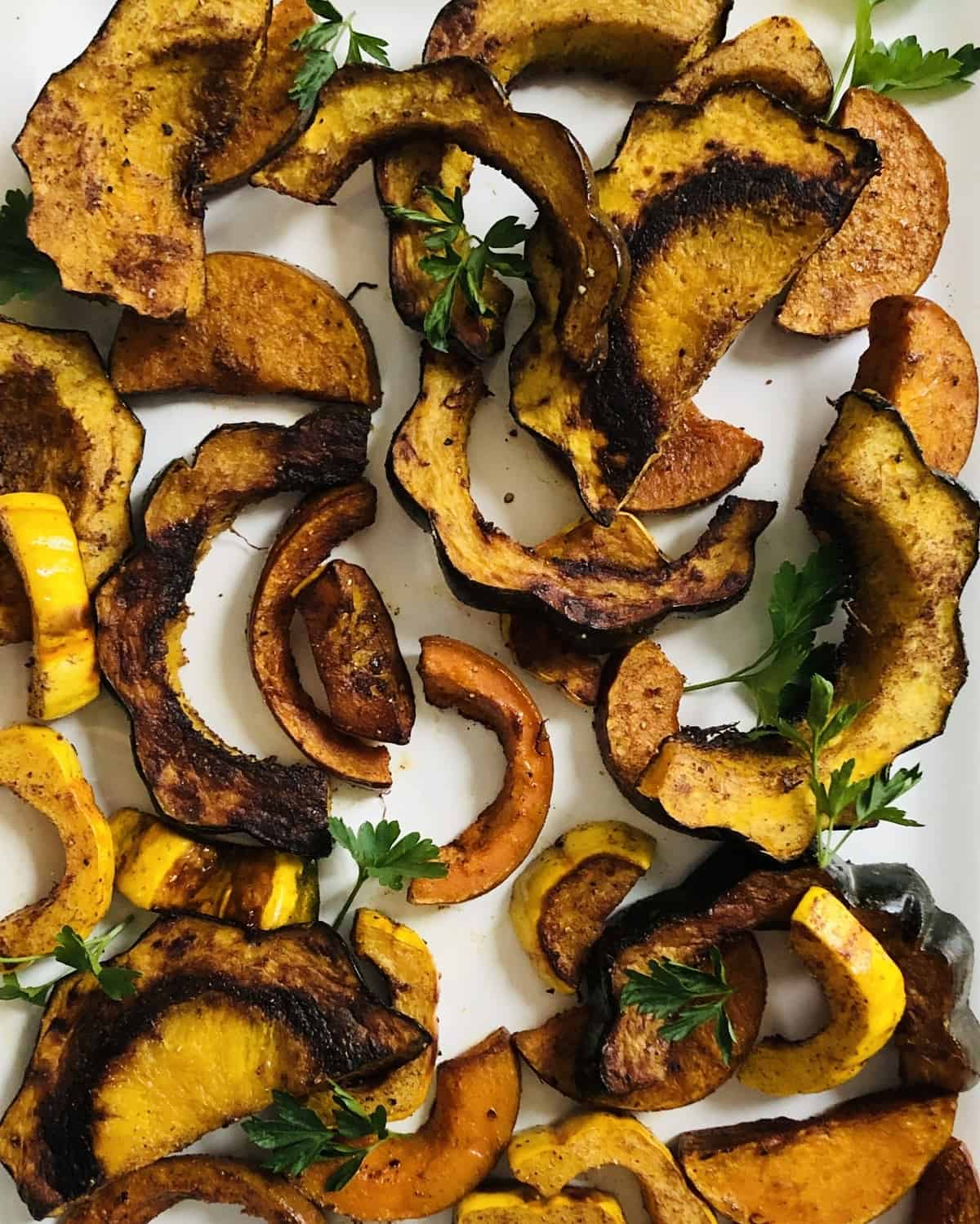 roasted squash - acorn, delicata, butternut and honeynut