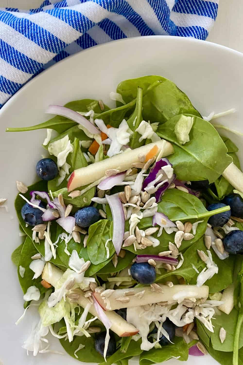 A serving of apple, blueberry spinach salad.