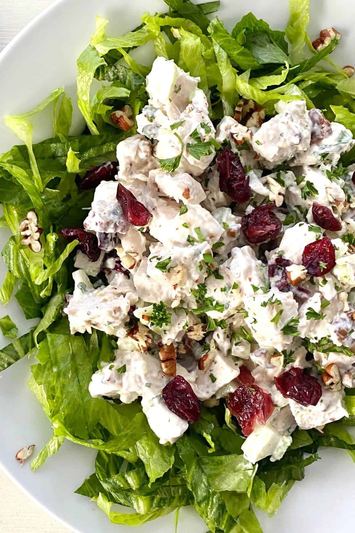 Easy Cranberry Chicken Salad with Toasted Pecans