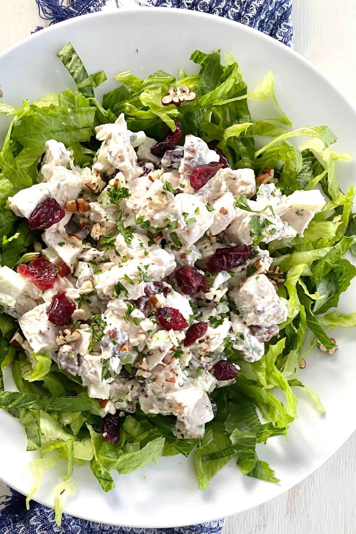 a salad with chicken, cranberries and pecans over lettuce.