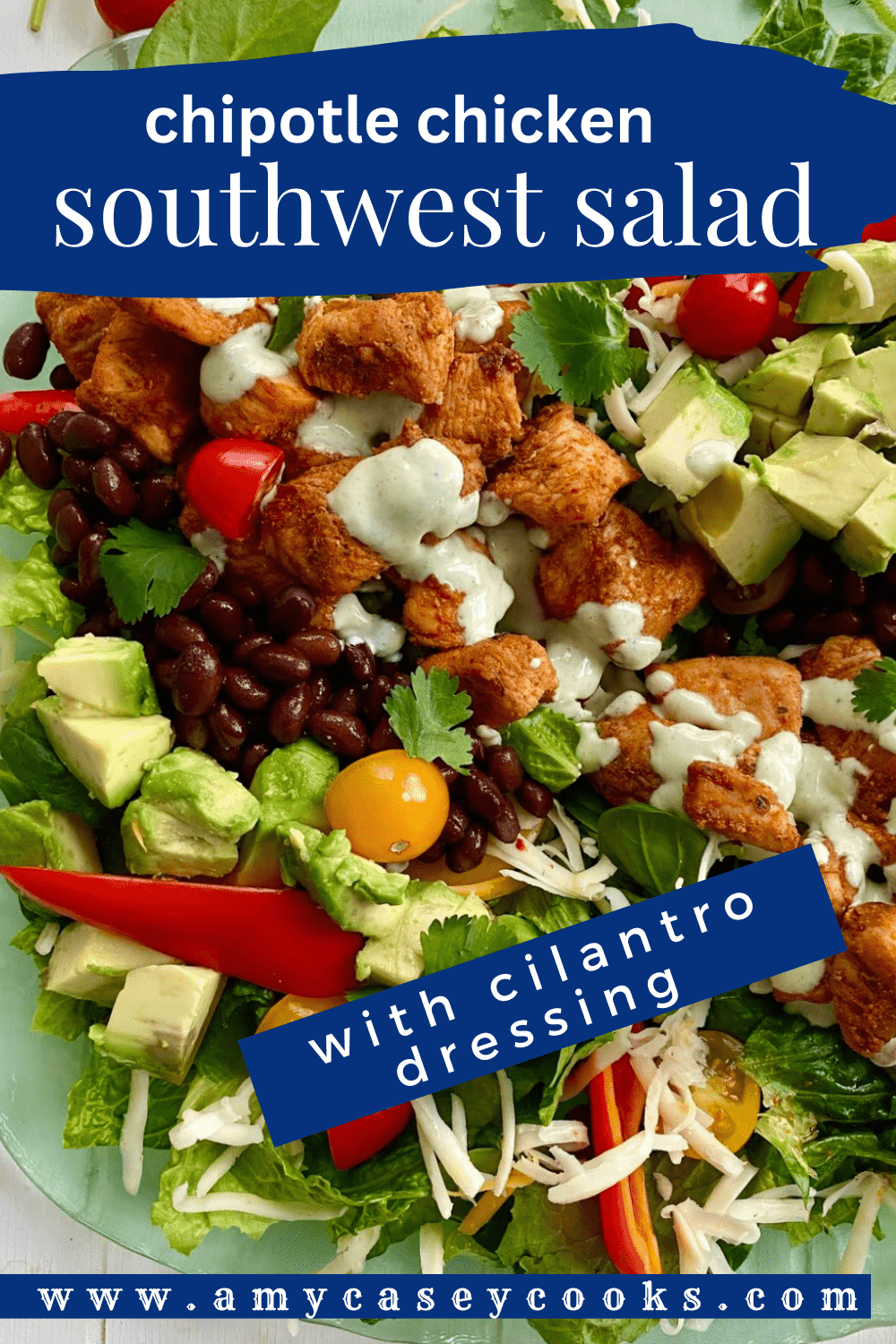 an entrée chicken salad with black beans, tomatoes and cilantro dressing.