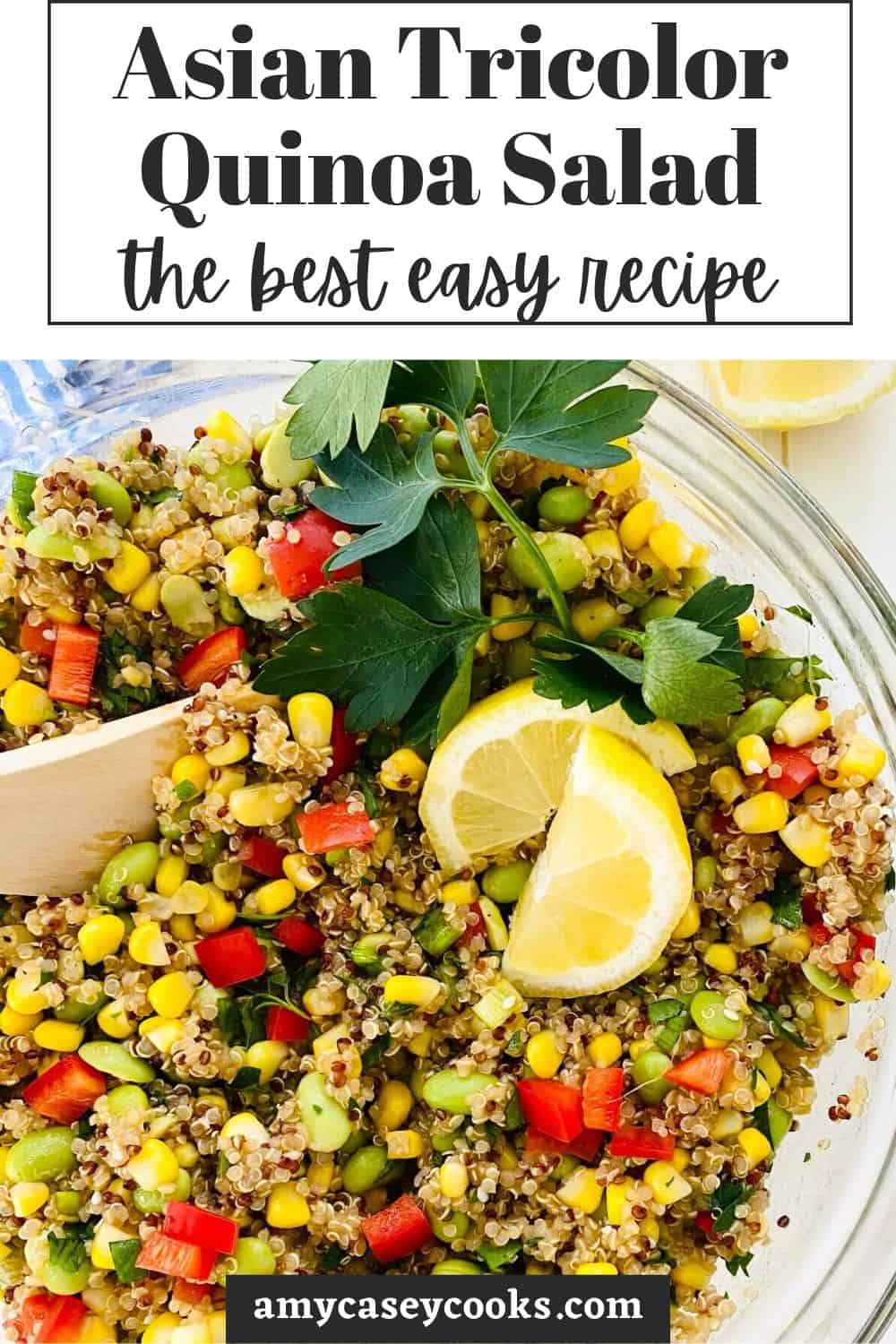 tricolor quinoa salad recipe with sesame vinaigrette.