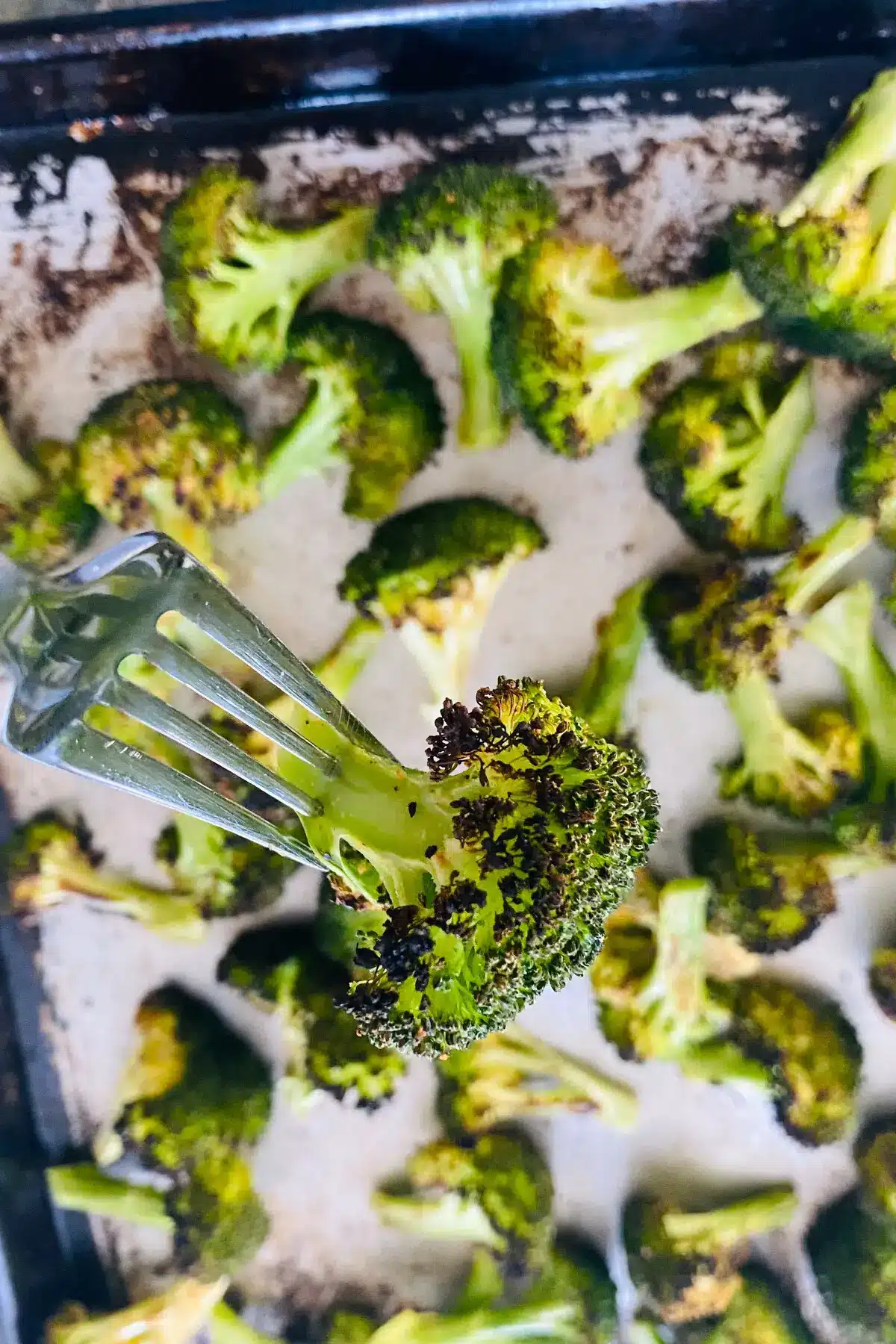 broiled broccoli on a fork.