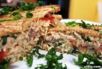 Speedy Light Tuna Panini Supper