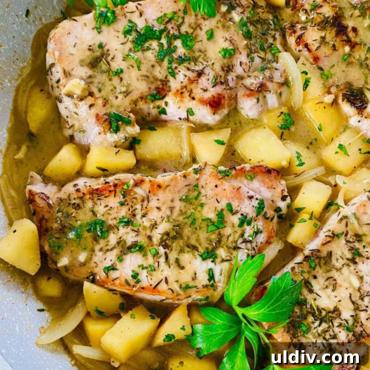 featured 1407
