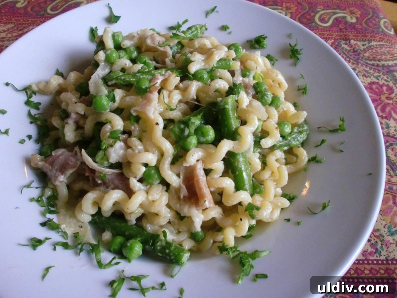 featured 1446