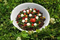 Forbidden Rice Salad Delicious Discovery