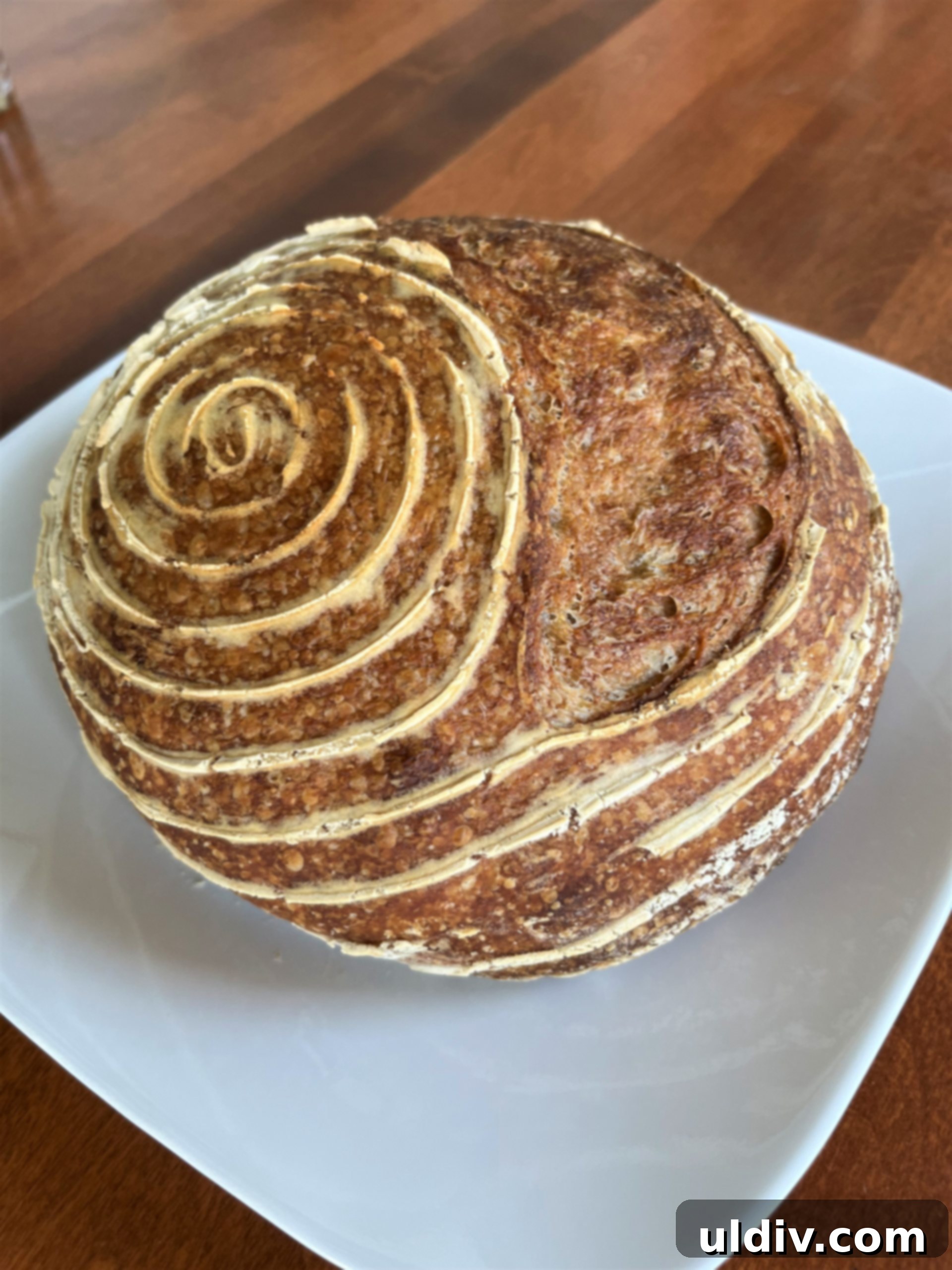 featured 15905