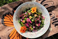 Join Us to Save Monarch Butterflies