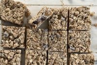 Scrumptious Peanut Butter Chocolate Chip Oat Bars