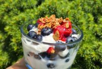 Blueberries 2024 The Definitive Update