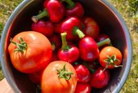 Easy Pickled Hot Peppers