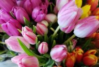 Wishing You a Joyous Easter