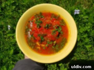 A hearty stew being cooked or served
