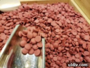 Sweets & Snacks Expo 2019: Mindful Bites, Part Two 18 Barry Callebaut ruby chocolate