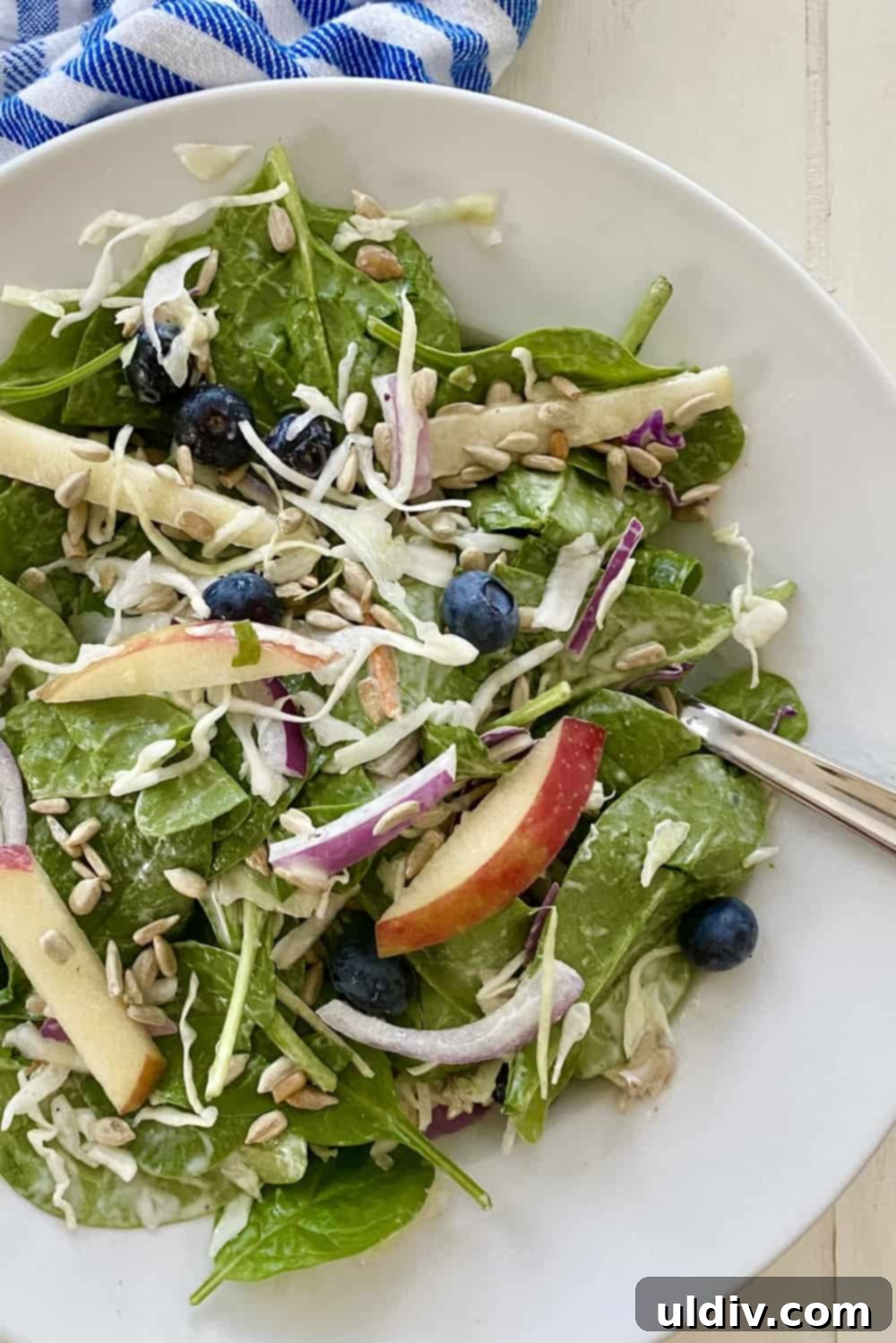 Vibrant Spinach Blueberry Salad with Creamy Yogurt Dressing 2 Fresh and Healthy Spinach Blueberry Salad with Yogurt Dressing, featuring vibrant greens, plump blueberries, and crisp apples