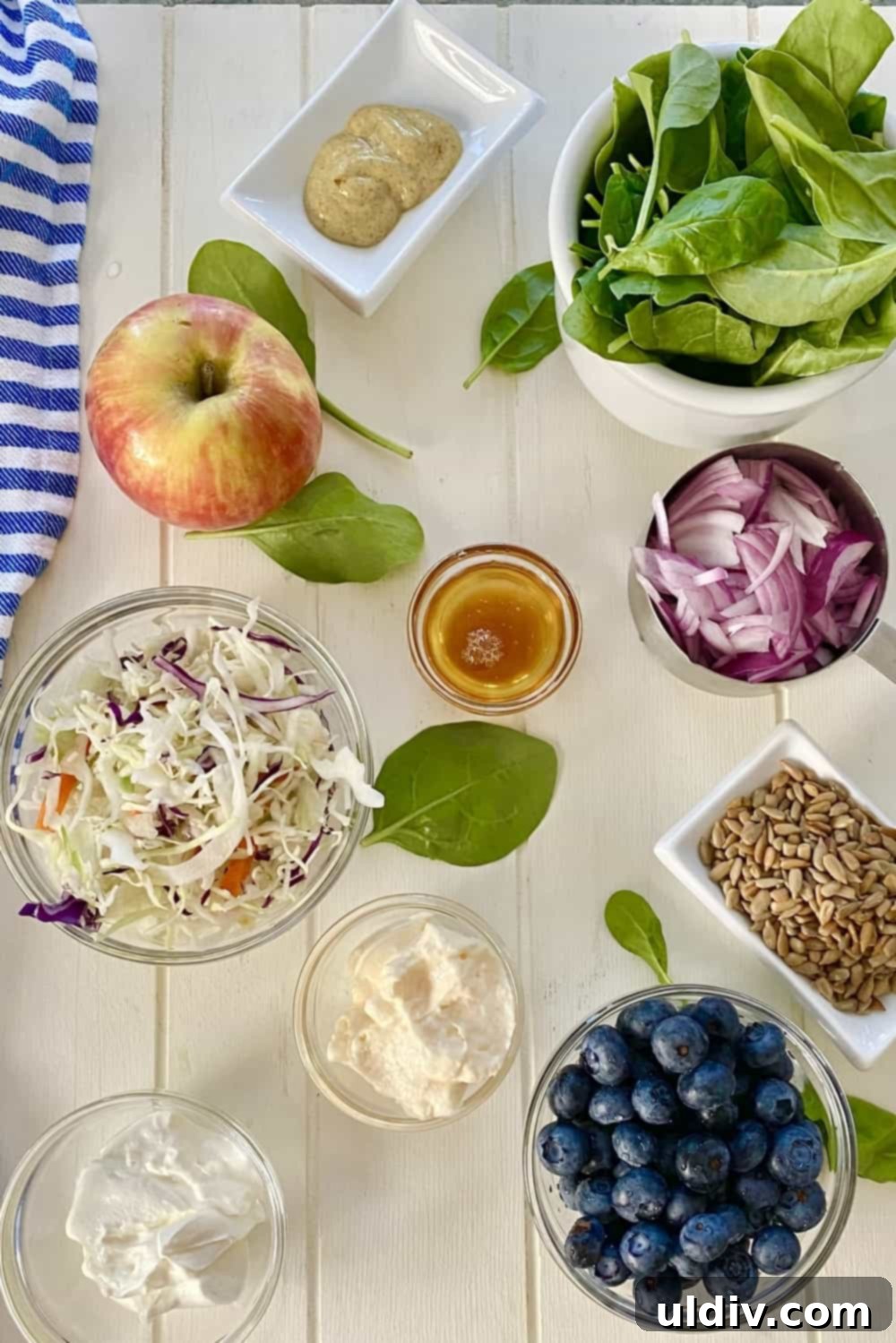Vibrant Spinach Blueberry Salad with Creamy Yogurt Dressing 3 Ingredients for Spinach Blueberry Salad including fresh spinach, blueberries, apple, cabbage, and plain Greek yogurt