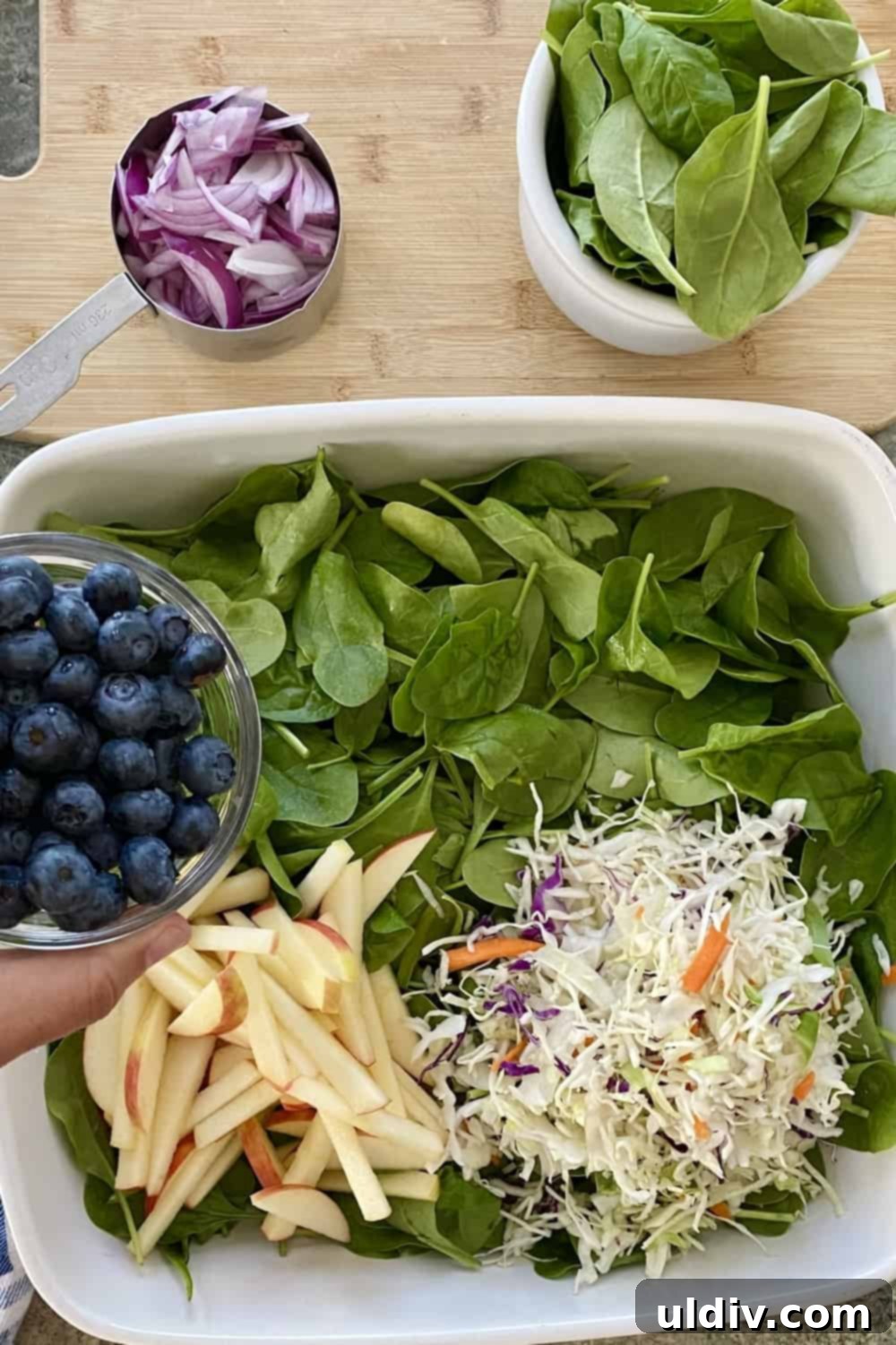 Vibrant Spinach Blueberry Salad with Zesty Yogurt Dressing 5 A large bowl with spinach, cabbage, and blueberries.