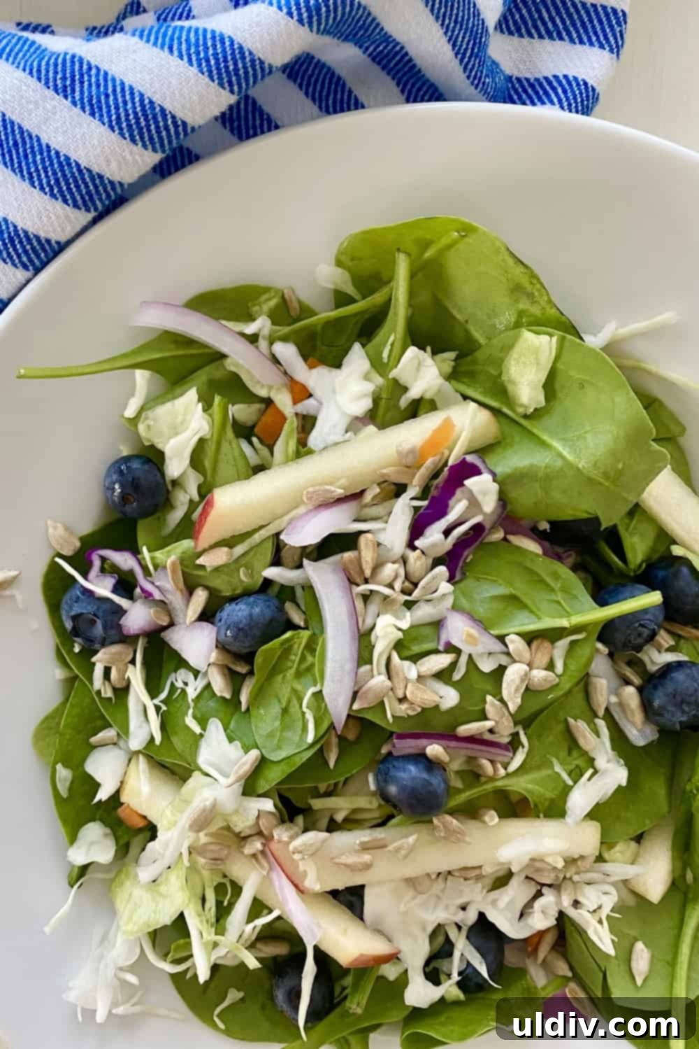 Vibrant Spinach Blueberry Salad with Zesty Yogurt Dressing 7 A serving of apple, blueberry spinach salad.