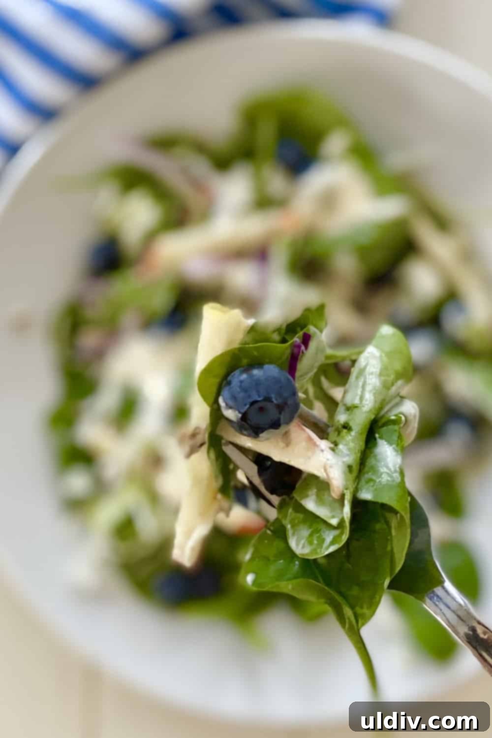 Vibrant Spinach Blueberry Salad with Creamy Yogurt Dressing 8 A fork holding a bite of spinach blueberry salad, showing off the vibrant ingredients.