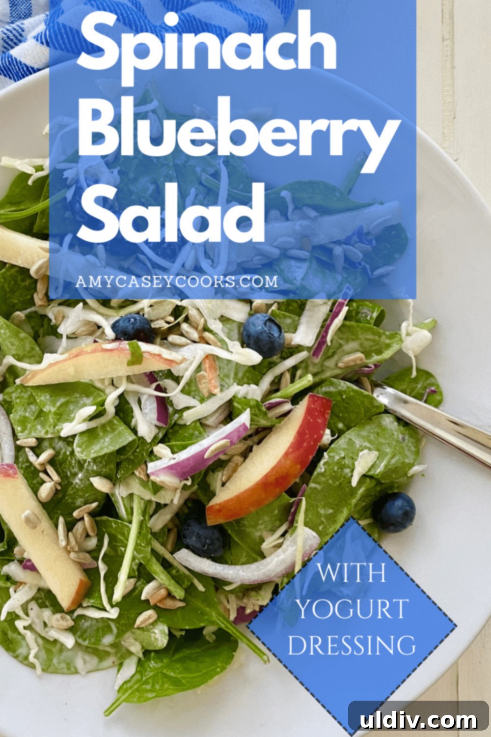 Vibrant Spinach Blueberry Salad with Zesty Yogurt Dressing 10 spinach blueberry salad