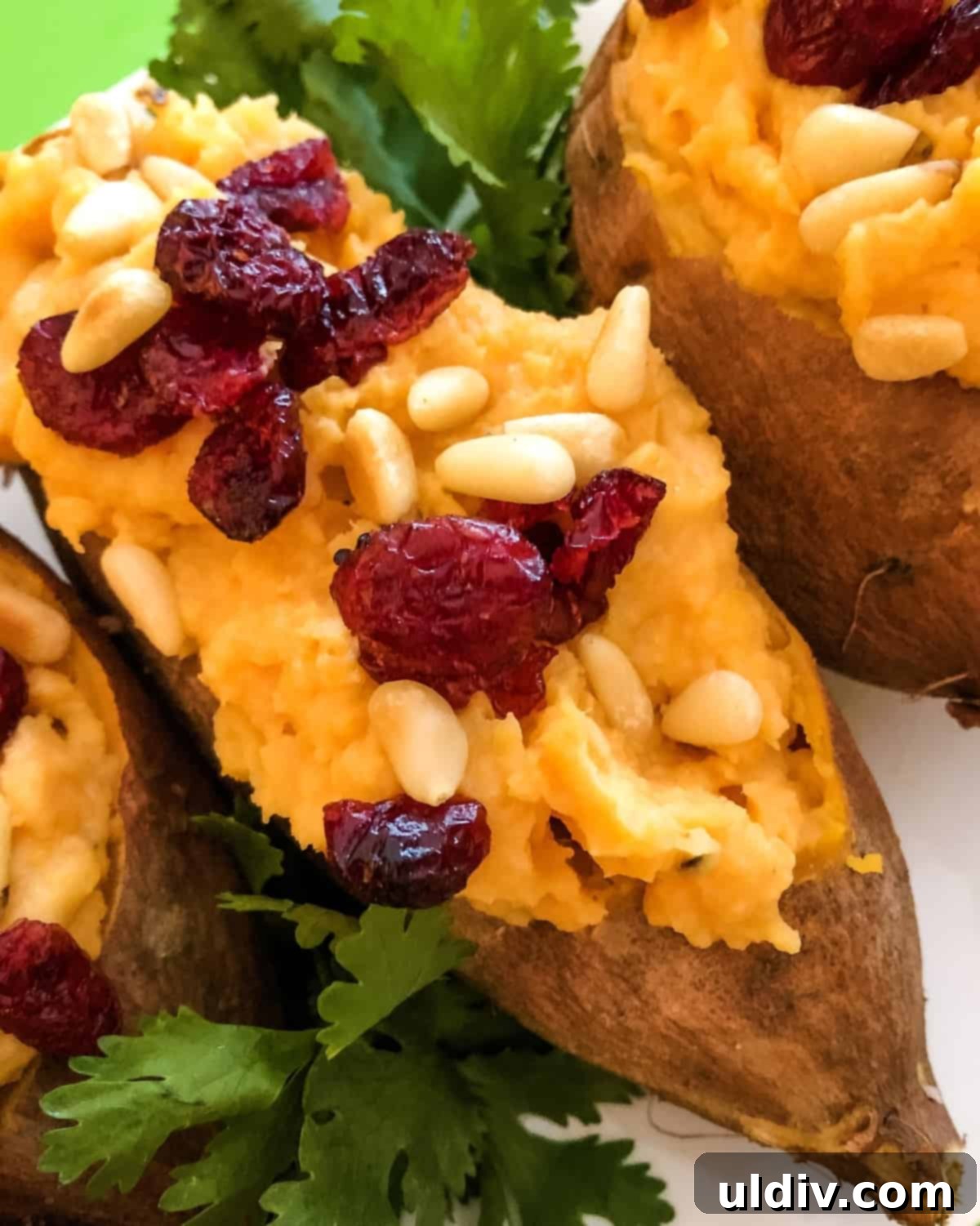 Vegan stuffed sweet potatoes topped with toasted pine nuts and dried cranberries, presented as a delicious and healthy meal option.