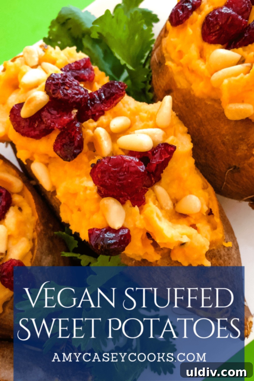A vibrant display of vegan stuffed sweet potatoes garnished with fresh cranberries and toasted pine nuts, highlighting a healthy and appealing presentation.