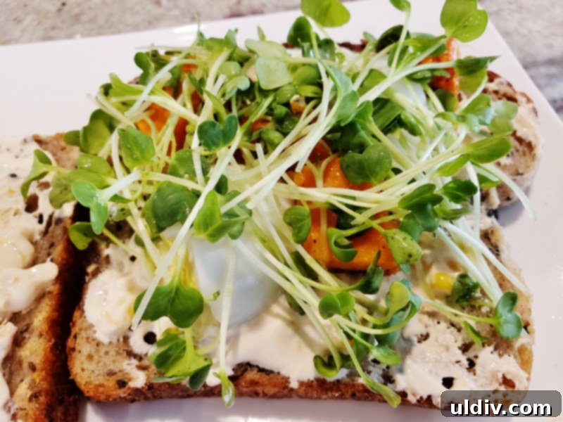 Flavorful Rustic Duck Egg Sandwich Your Meatless Monday Essential 9 Top view of microgreens evenly distributed on the duck egg and butternut squash sandwich