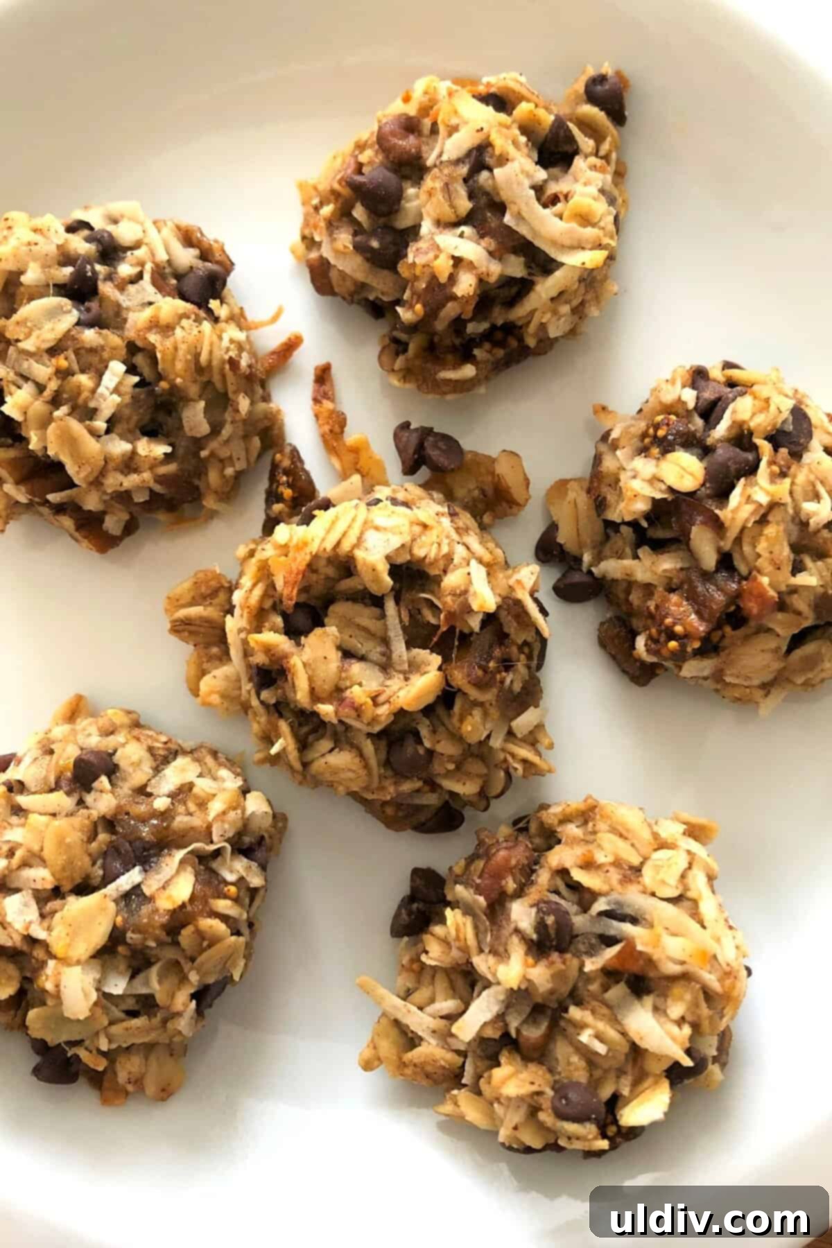 Ultimate Vegan Chocolate Coconut Oatmeal Cookies 2 A beautifully arranged plate of golden-brown vegan oatmeal cookies, showcasing their wholesome ingredients and inviting texture. Perfect for a healthy snack or breakfast.