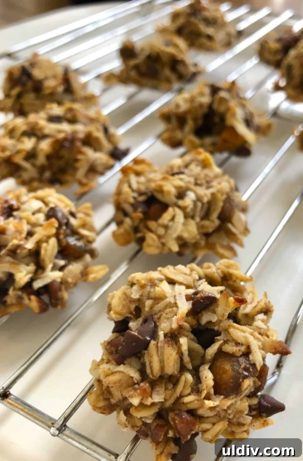 Ultimate Vegan Chocolate Coconut Oatmeal Cookies 3 Close-up view of freshly baked vegan oatmeal cookies with shredded coconut visible, cooling on a rack, highlighting their texture and appealing golden color.