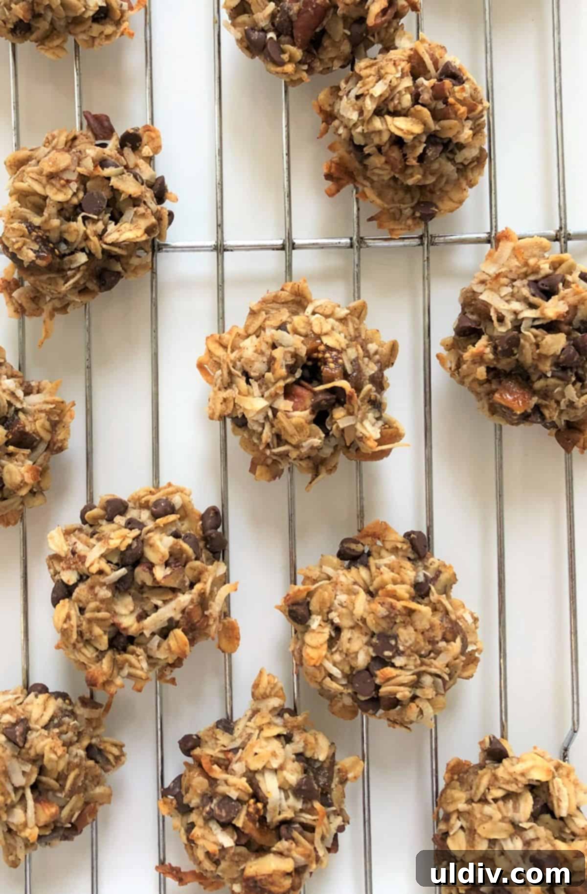 Ultimate Vegan Chocolate Coconut Oatmeal Cookies 4 Freshly baked vegan oatmeal cookies cooling on a wire rack, ready to be enjoyed as a healthy and delicious snack.