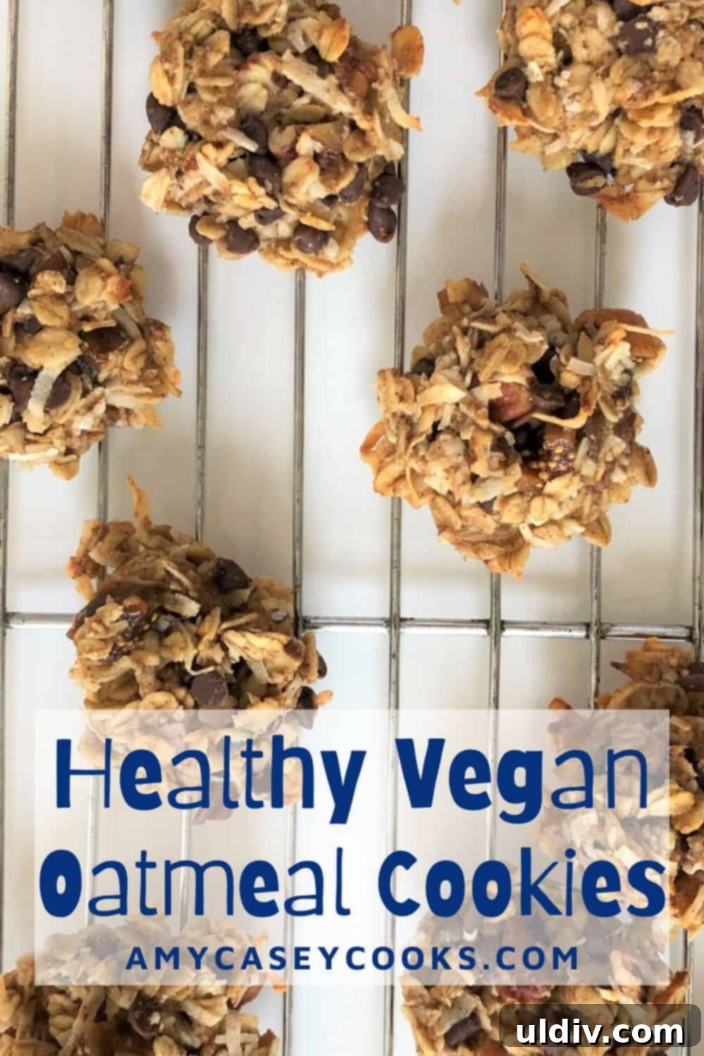 Ultimate Vegan Chocolate Coconut Oatmeal Cookies 5 A stack of healthy vegan oatmeal cookies, rich in texture and inviting, showcasing their delicious and wholesome appeal.