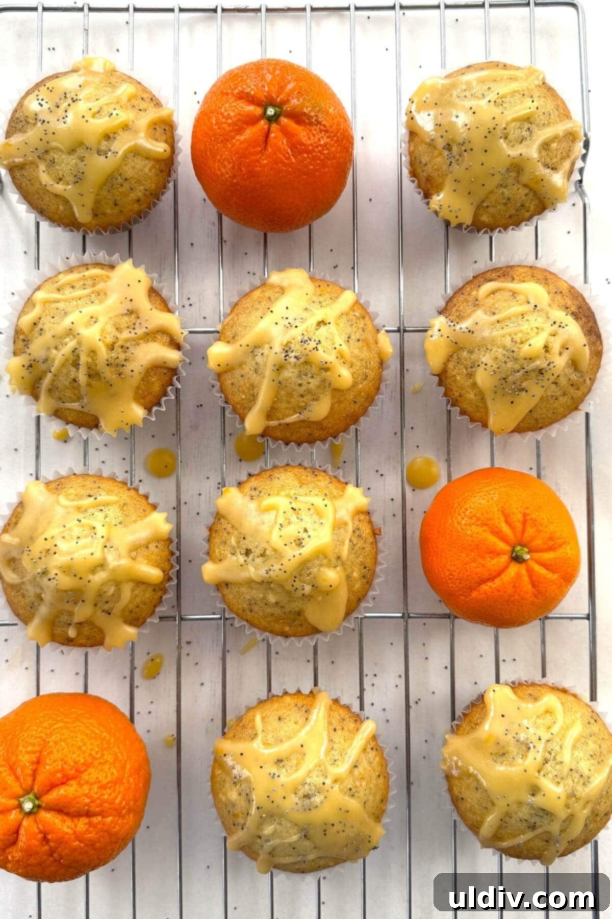 Sunshine Orange Poppy Seed Glaze Muffins 11 Freshly baked and glazed poppy seed muffins arranged on a wire cooling rack.