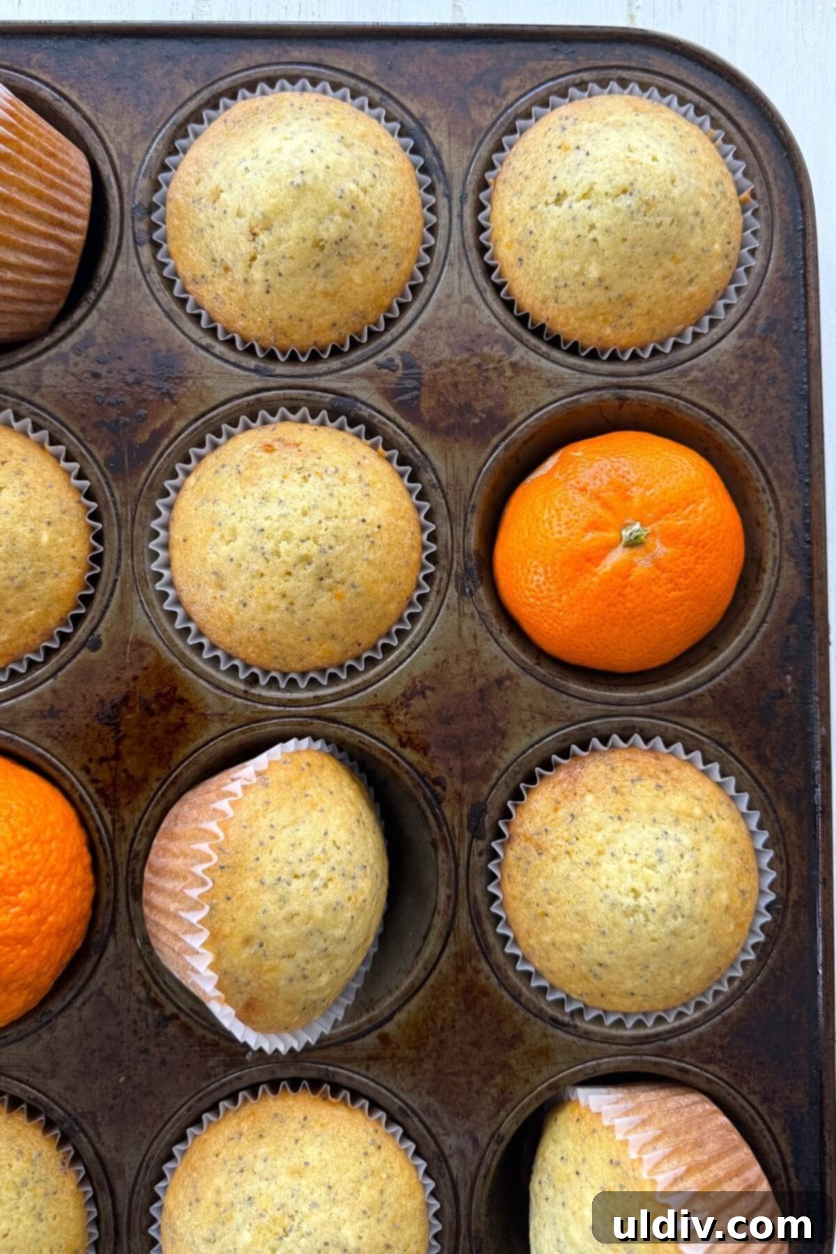 Sunshine Orange Poppy Muffins 12 Unglazed orange poppy seed muffins in a muffin pan, showing their golden tops.