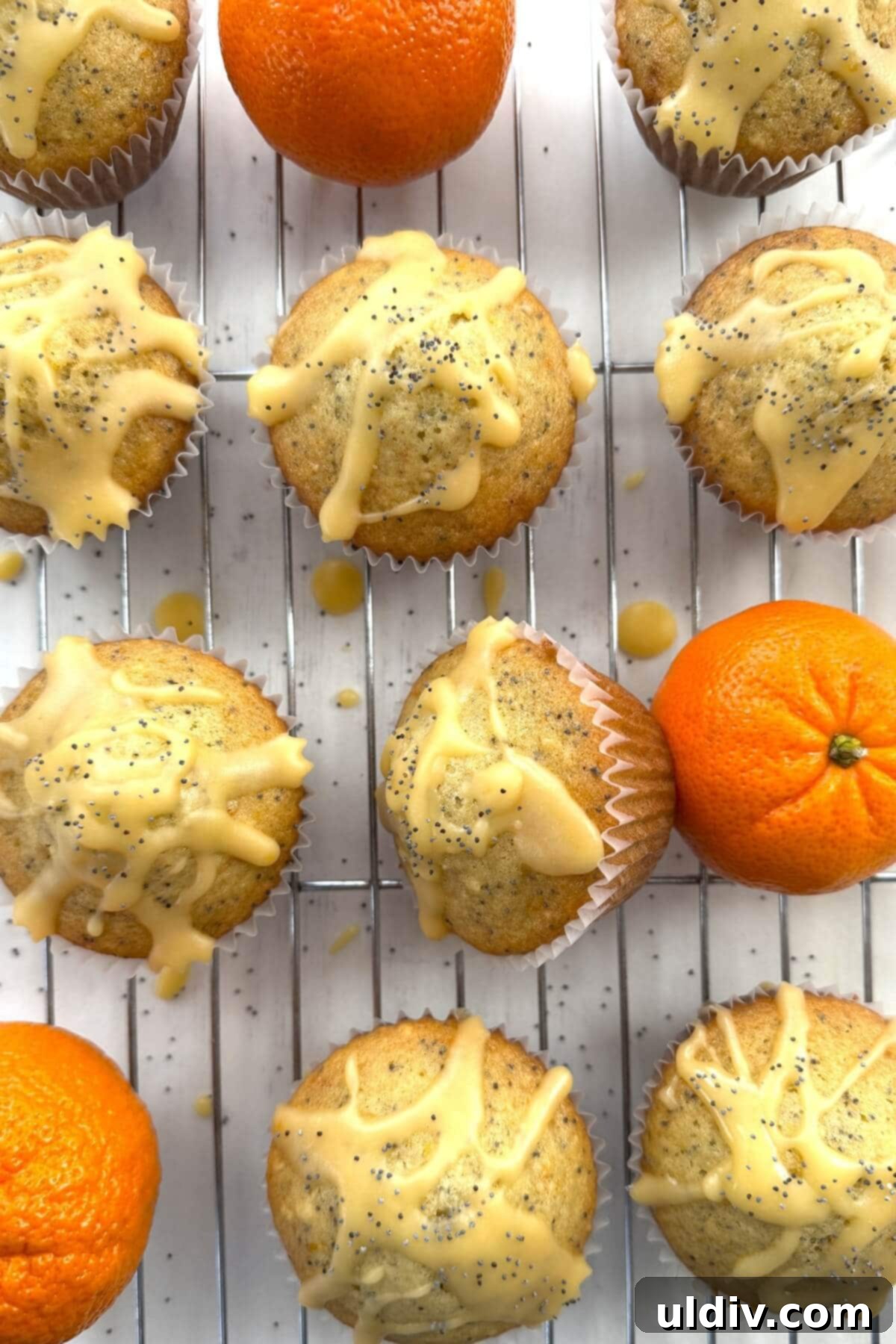 Sunshine Orange Poppy Muffins 13 A cooling rack filled with glazed orange poppy seed muffins, with whole oranges nearby.