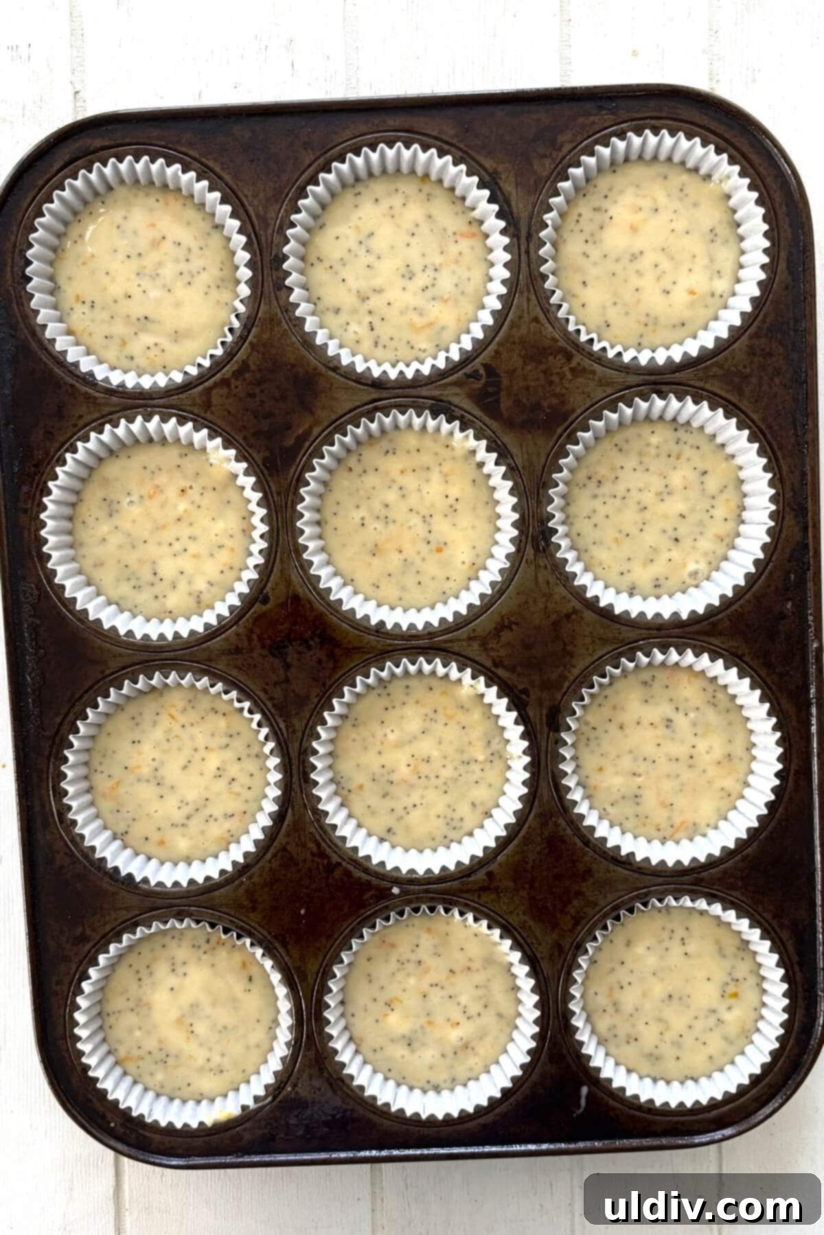 Sunshine Orange Poppy Muffins 10 Muffin batter neatly scooped into paper liners in a muffin pan.