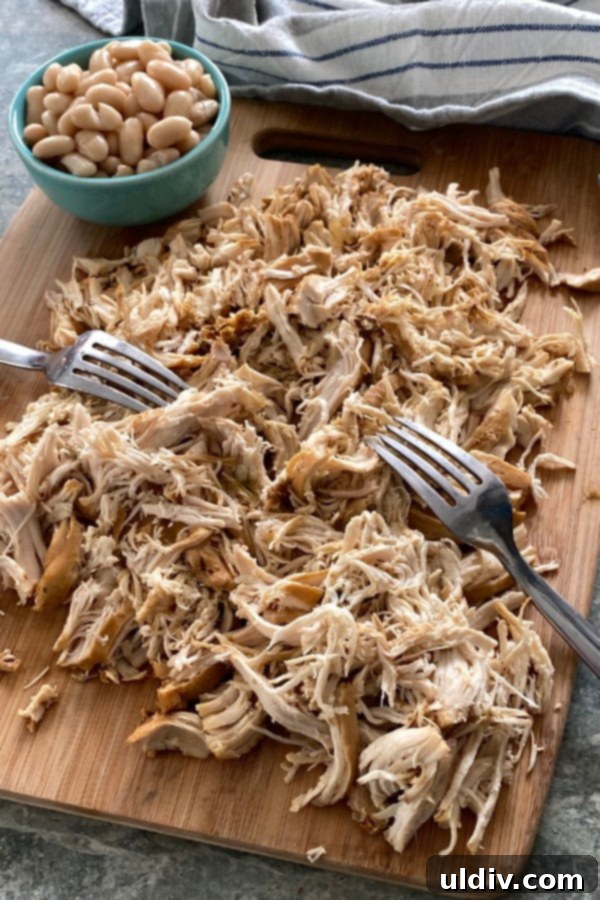 Creamy Instant Pot Chicken Enchilada Soup 4 Perfectly shredded chicken that was cooked in an Instant Pot, ready to be added back into the creamy enchilada soup.
