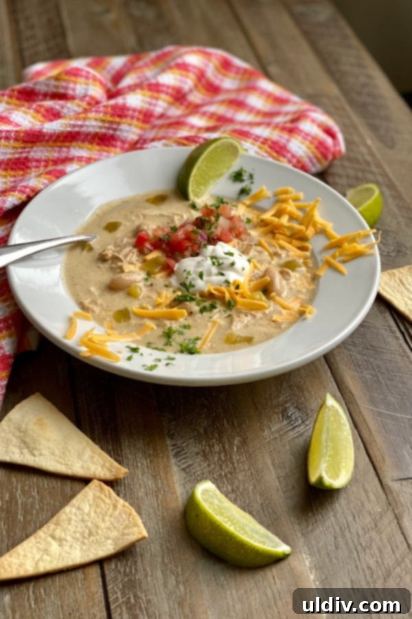 Instant Pot Creamy Chicken Enchilada Chili 5 A vibrant bowl of Instant Pot Creamy Green Enchilada Chicken Soup, generously topped with homemade crispy tortilla chips and fresh cilantro.
