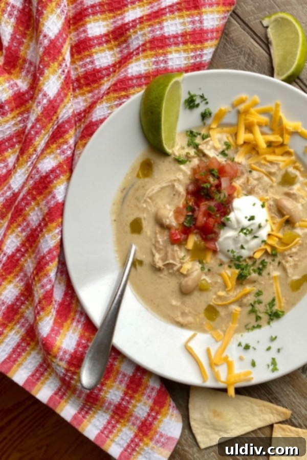 Instant Pot Creamy Chicken Enchilada Chili 6 A close-up shot of the rich, creamy texture of Instant Pot Chicken Enchilada Soup, ready to be served.