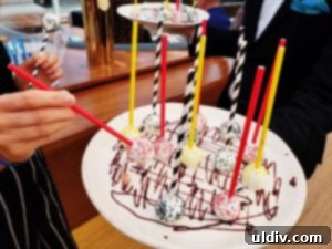 Delicious cake pops served at the grand opening of Offshore rooftop bar at Navy Pier, Chicago