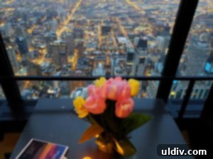 Dramatic night view of Chicago's illuminated skyline and Lake Michigan from above