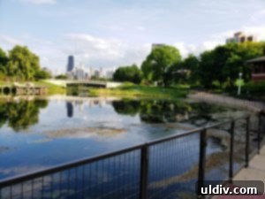 Lush greenery and serene pond at Nature Boardwalk, Lincoln Park Zoo, Chicago