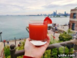 Stunning view of Lake Michigan and Chicago skyline from Offshore rooftop bar
